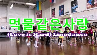 라인댄스먹물같은사랑 Love Is Hard Line Dance초급라인댄스캐나다할라에어로빅 [upl. by Katlin904]