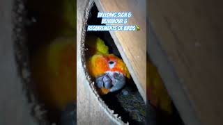 Breeding sign amp behaviour amp requirements of birds🦜 [upl. by Assilev324]