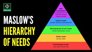 Maslows Theory in Nursing [upl. by Orlanta]