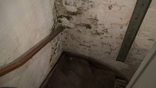 Rising damp  Nope  its broken drains [upl. by Vadim]