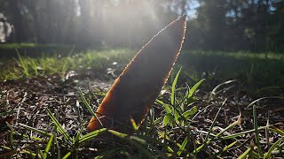 Flint Knapping Flint Dagger Part 1 Knapping [upl. by Madel]