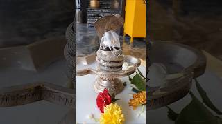 Karthikamasam Morning Abhishekam Om Namah Shivaya Lord Shiva Shiva Monday Abhishekam [upl. by Phox]