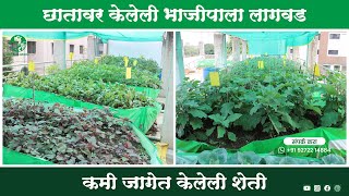 Terrace Garden छतावर केलेली भाजीपाला लागवड┃Varsha Agro Tasgaon [upl. by Enamrej]