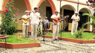 SON ANTILLANO  AMOROSA GUAJIRA  MÚSICA TRADICIONAL CUBANA [upl. by Keslie421]