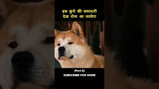 Hachi a dogs tale movie explainedshortsmovie [upl. by Anyalram273]