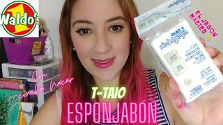 TTAiO ESPONJABÓN  JABÓN  ESPONJA  ACLARANTE CON CONCHA NÁCAREL JABON MAGICO✨ [upl. by Eerolam605]