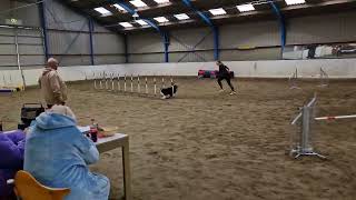 241116 Brabants Bont Jumping Wicca [upl. by Yared]