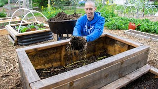 How to Fill a DEEP Raised Bed CHEAP and EASY Backyard Gardening [upl. by Marielle]