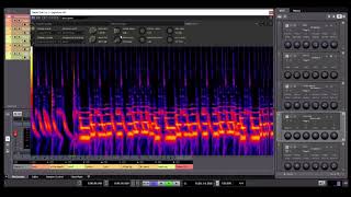 Checking out Signalizer by Janus Lynggaard Thorborg [upl. by Ardis383]