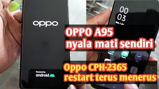 OPPO A95 restart sendiri nyala mati sendiri mentok logo Oppo [upl. by Ynnus699]