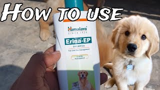 How to use Himalaya Erina EP tick shampoo l [upl. by Angeli864]