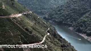 Ribeira Sacra  Enoturismo y viticultura eroica en Galicia [upl. by Utica]