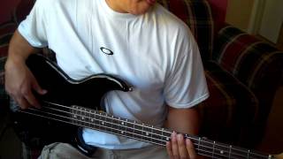 quotOne Thingquot One Direction Bass Cover [upl. by Chamberlin]