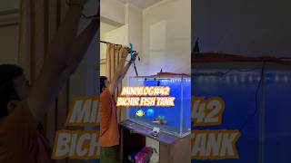 Bichir Fish Tank 🪼🐳gauravbhosale45 shorts shortsfeed minivlog aquarium fishtank [upl. by Aubyn]