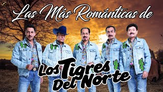 Lo mejor del álbum completo de Los Tigres del Norte 2024  Mejores artistas para escuchar 2024 [upl. by Gies]