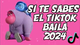 🕺 SI TE SABES EL TIKTOK BAILA  2024 🕺 [upl. by Hillinck69]