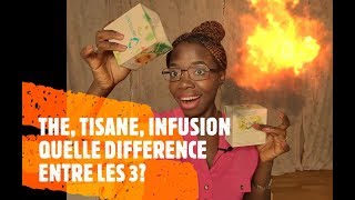 THE  TISANE INFUSION QUELLES DIFFERENCES ENTRE LES 3 [upl. by Etteoj273]