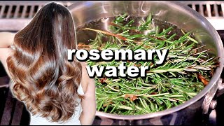 ROSEMARY WATER FOR HAIR GROWTH  DIY Rosemary Water Recipe amp How To Use It [upl. by Drarrej]