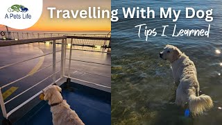 Travelling With My Pet  Tips I Learned [upl. by Assilana388]