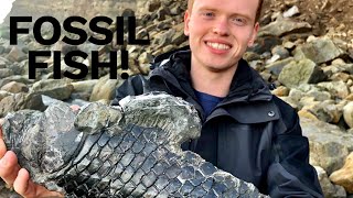 Fossil Fish HUGE Squid Ichthyosaur Paddle Preparation 3 Days Outdoor Hunt  Fossil Hunter [upl. by Danyette]