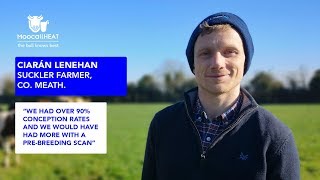 Suckler farmer Ciarán Lenehan achieves over 90 conception rate with Moocall HEAT [upl. by Larimore]