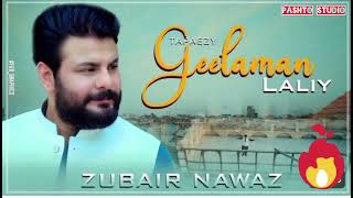 A Gul Laliy  A Gul Laliy Akhri Had Dy  Tapaezy Geelaman Laliy Zubair Nawaz new song 2024 [upl. by Outhe969]