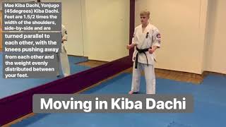 8th Kyu  Kiba Dachi  Standing amp Moving  BKK Mountain Ash [upl. by Louanna]