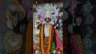 🌺 কালী পূজা 2024🪔Kali puja kolkata 2024shortsshortsyoutubeshorts [upl. by Bink]