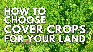 Choosing And Planting Cover Crops For Your Farm or Garden [upl. by Roque523]