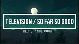 Rex Orange County  Television  So Far So Good Lyrics [upl. by Kuhlman]