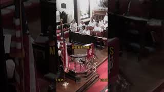 Agnus dei missa de Angelis gregorian accapella gregorianchant holymass piano vypシ choir [upl. by Nicolella]