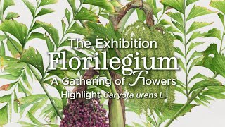 Creative Showcase Journey  The Exhibition quotFlorilegium  A Gathering of Flowersquot 2020 [upl. by Norry]