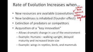 Evolutionary Patterns Macroevolution Analogous Homologous and Vestigial Structures [upl. by Okime]