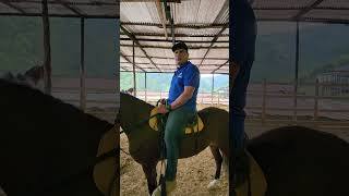 Tips para arrendar potros Cursos para adiestramiento de caballos arrendarpotros potrosarrendar [upl. by Aekerly]