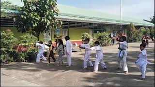 LATIHAN KARATE [upl. by Attiuqehs521]