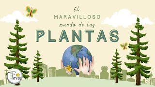 Las plantas 2º primaria [upl. by Ettenej725]