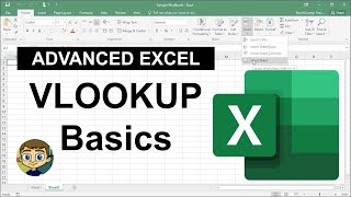 Advanced Excel  VLOOKUP Basics [upl. by Ghassan200]