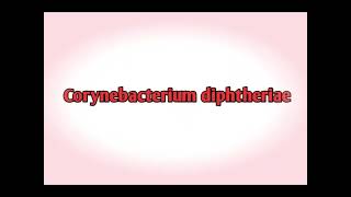 corynebacterium diphtheriae pronunciation [upl. by Immac]