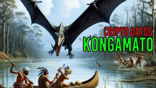 KONGAMATO Cripto Datos 04  Criptozoologia [upl. by Ilrebma]