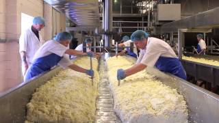 Cheese Making Process [upl. by Gnouc]