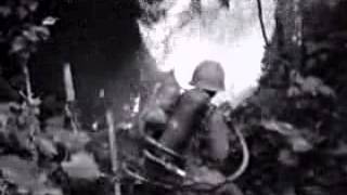 Vietnam War Flamethrower [upl. by Wattenberg]