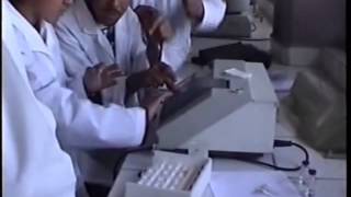 Peroxydase Test de loxydation du gaiacol et formation du tétragaiacol [upl. by Auj]