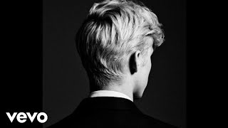 Troye Sivan  Animal Audio [upl. by Ynafetse]