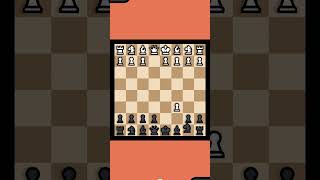 Soller gambit chess [upl. by Ecinaej27]