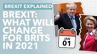 10 Things Brexit Changes for Brits in 2021 🇬🇧 What You Need to Know Before January 1st  TLDR News [upl. by Malamut]