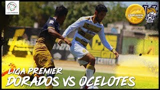 LIGA PREMIER  DORADOS 12 OCELOTES  RESUMEN J28 [upl. by Atikam]