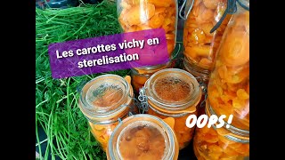 Carottes Vichy en stérilisation [upl. by Raknahs]