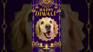 thebongwanderers wishes you a very happy prosperous and inclusive diwali issdiwalisabkiwali [upl. by Eenaj]