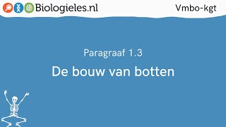 Vmbokgt 1  Stevigheid en beweging  3 De bouw van botten  Biologielesnl [upl. by Geneva686]