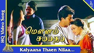 Kalyaana Thaen Nilaa Song Mounam Sammadham Tamil Movie Songs  Mammootty  Amala  Pyramid Music [upl. by Annasor]